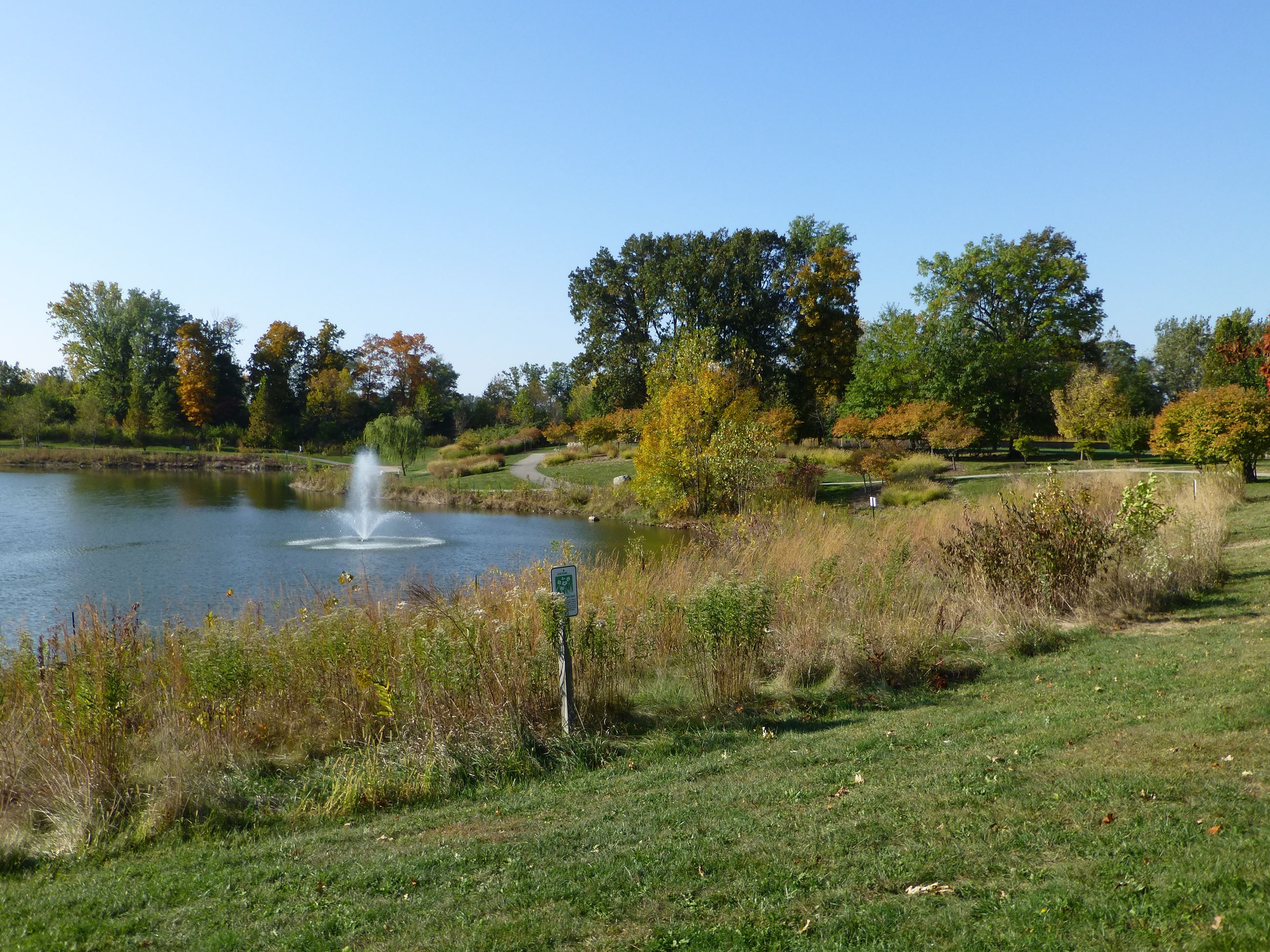 Trees at Armstrong Park