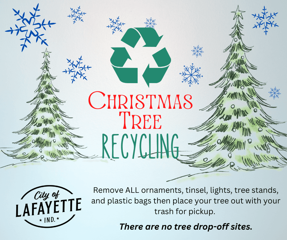 Christmas Tree Collection 2022