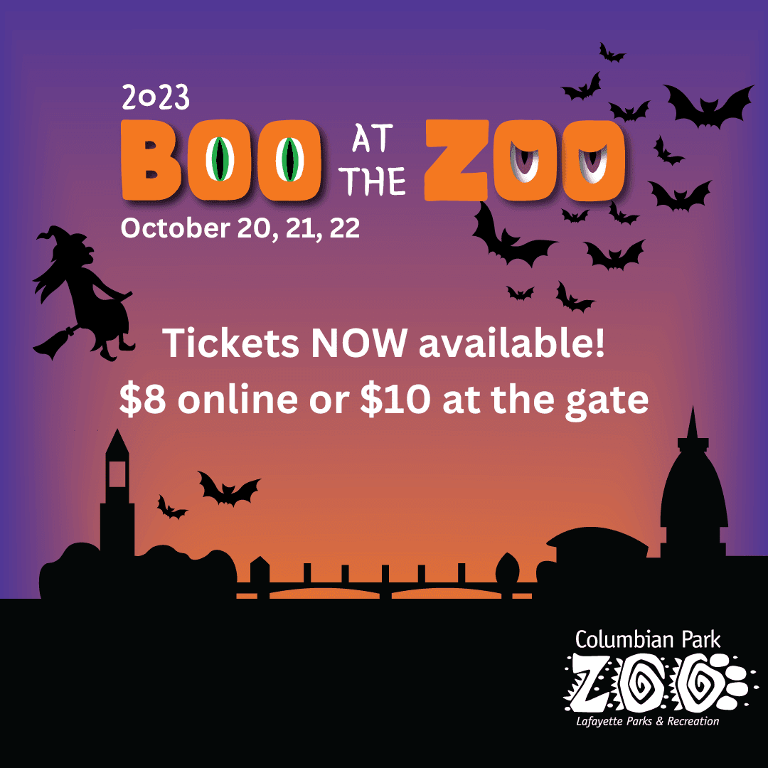 BATZ save-the-date IG square (5)