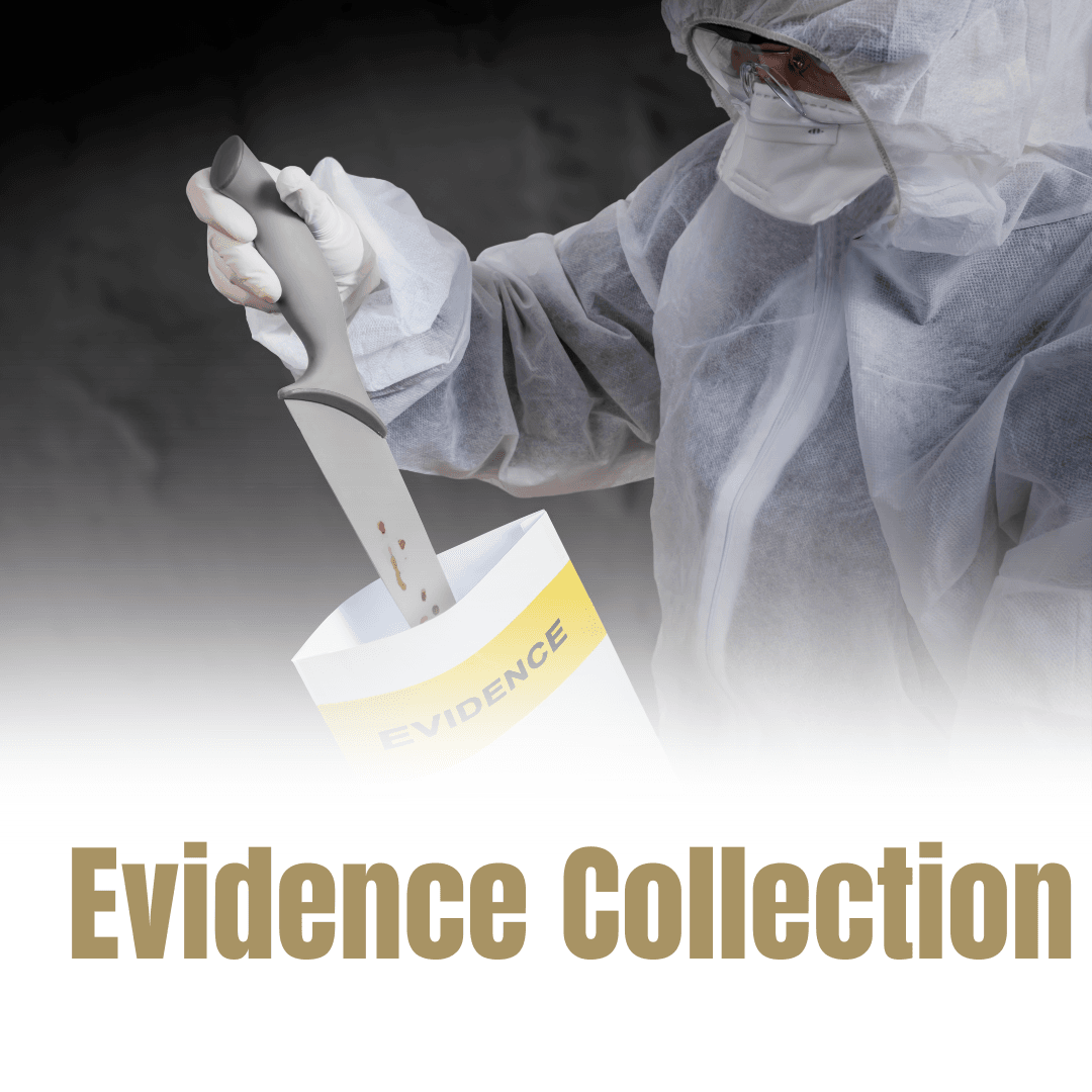 CSI Responsibilities (4)