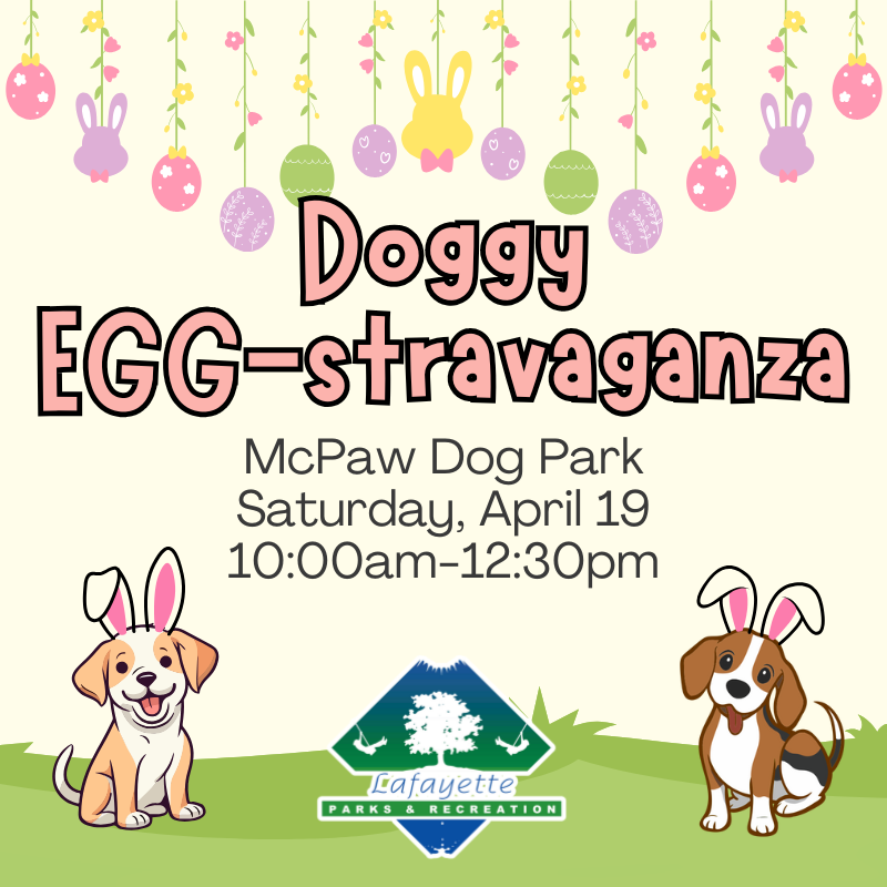 Copy of doggy EGGstravaganza IG