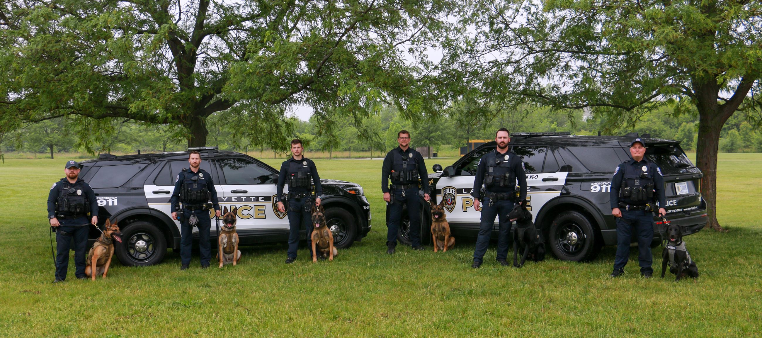 K9 Team