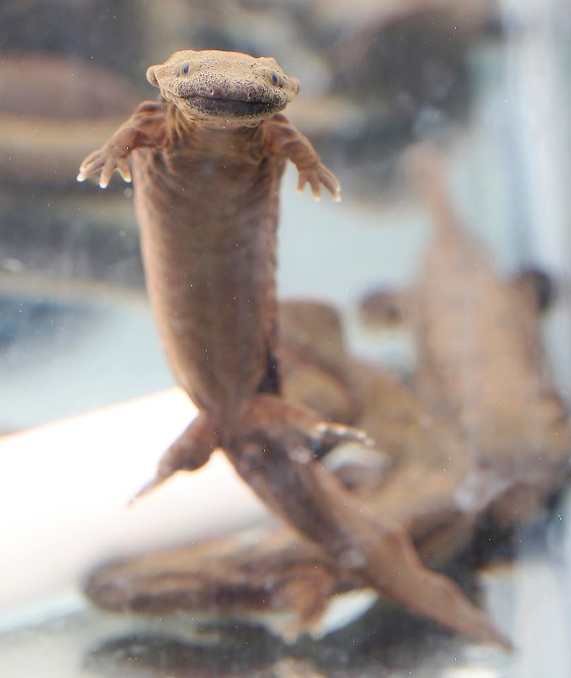 11001687_987847084577830_7960441649881119093_o