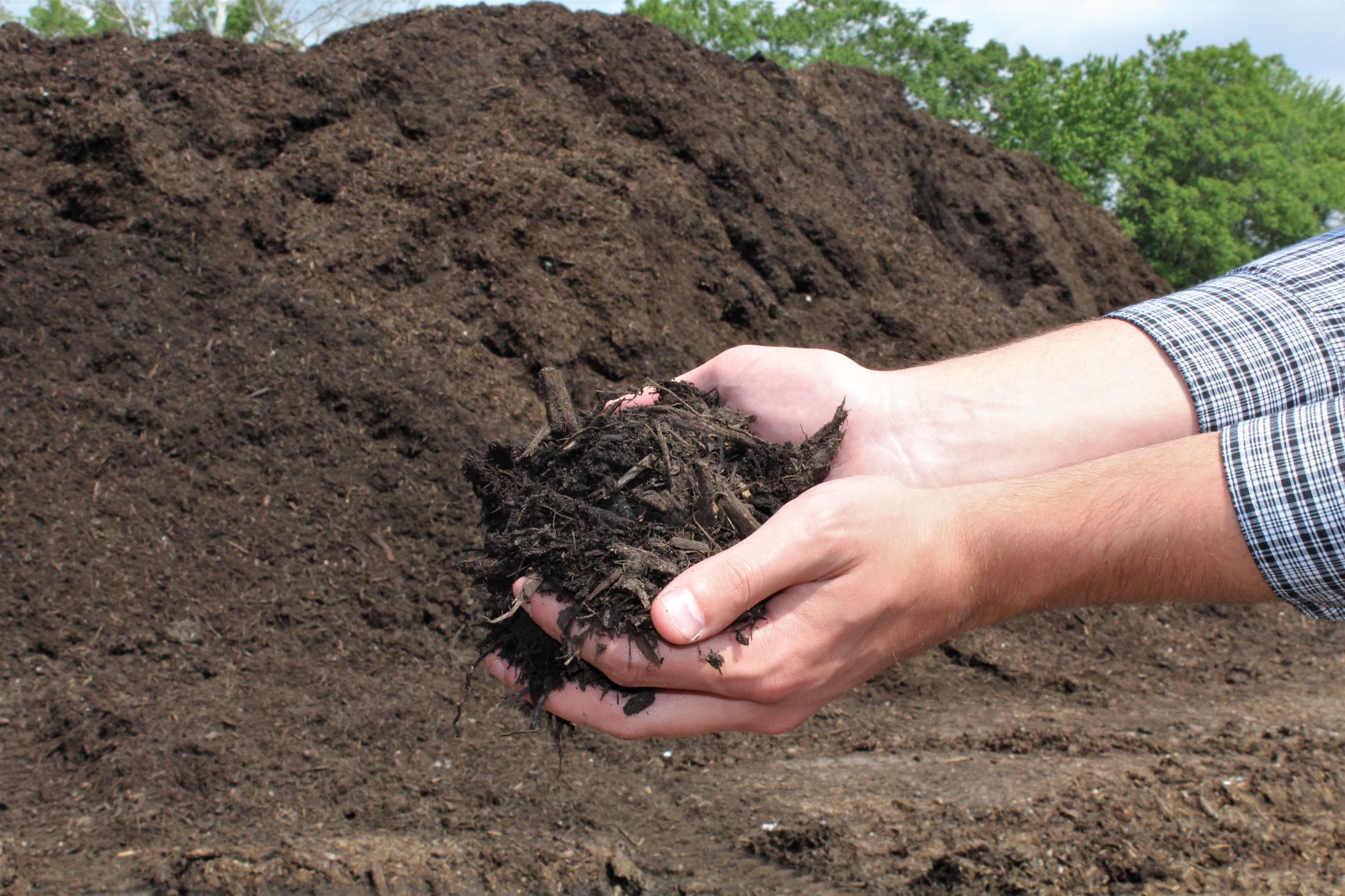 Hands holding mulch in front of large mulch pile
