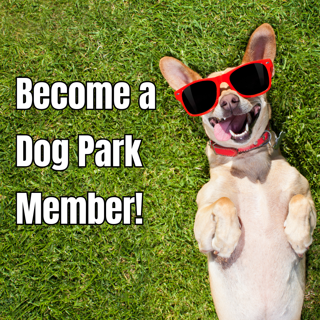 Photo shows a happy dog wearing sunglasses with the text:Become a Dog Park Member!