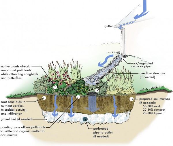 rain-garden-diagram-600x508